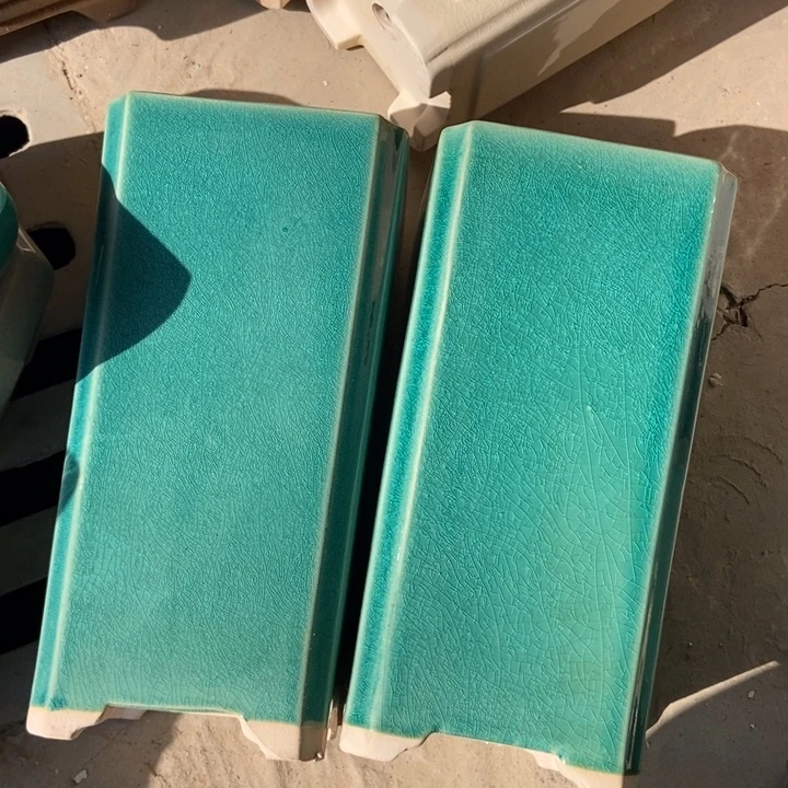 花盆花盆福利多多