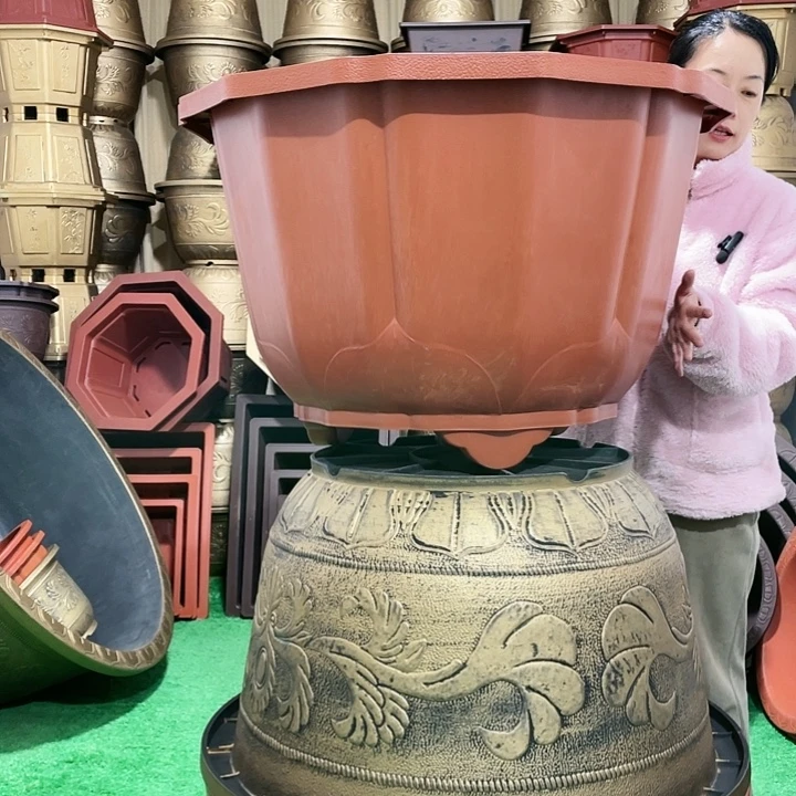 莲花盆红色八零两个