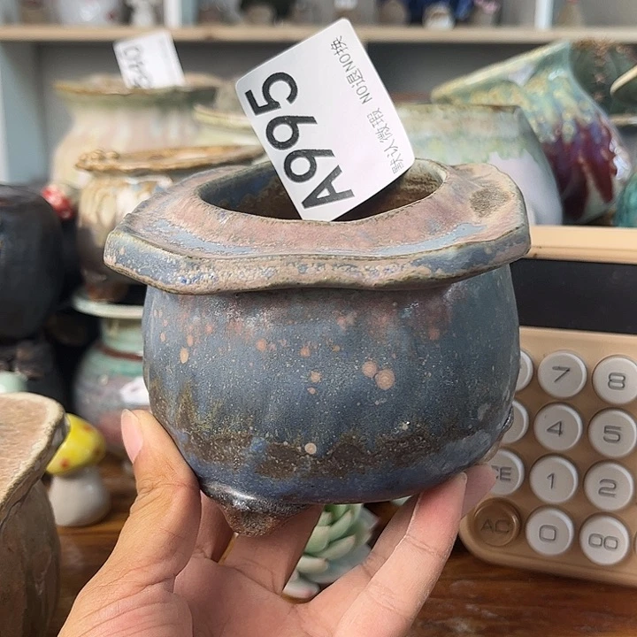 重庆小燕子欢迎大家995
