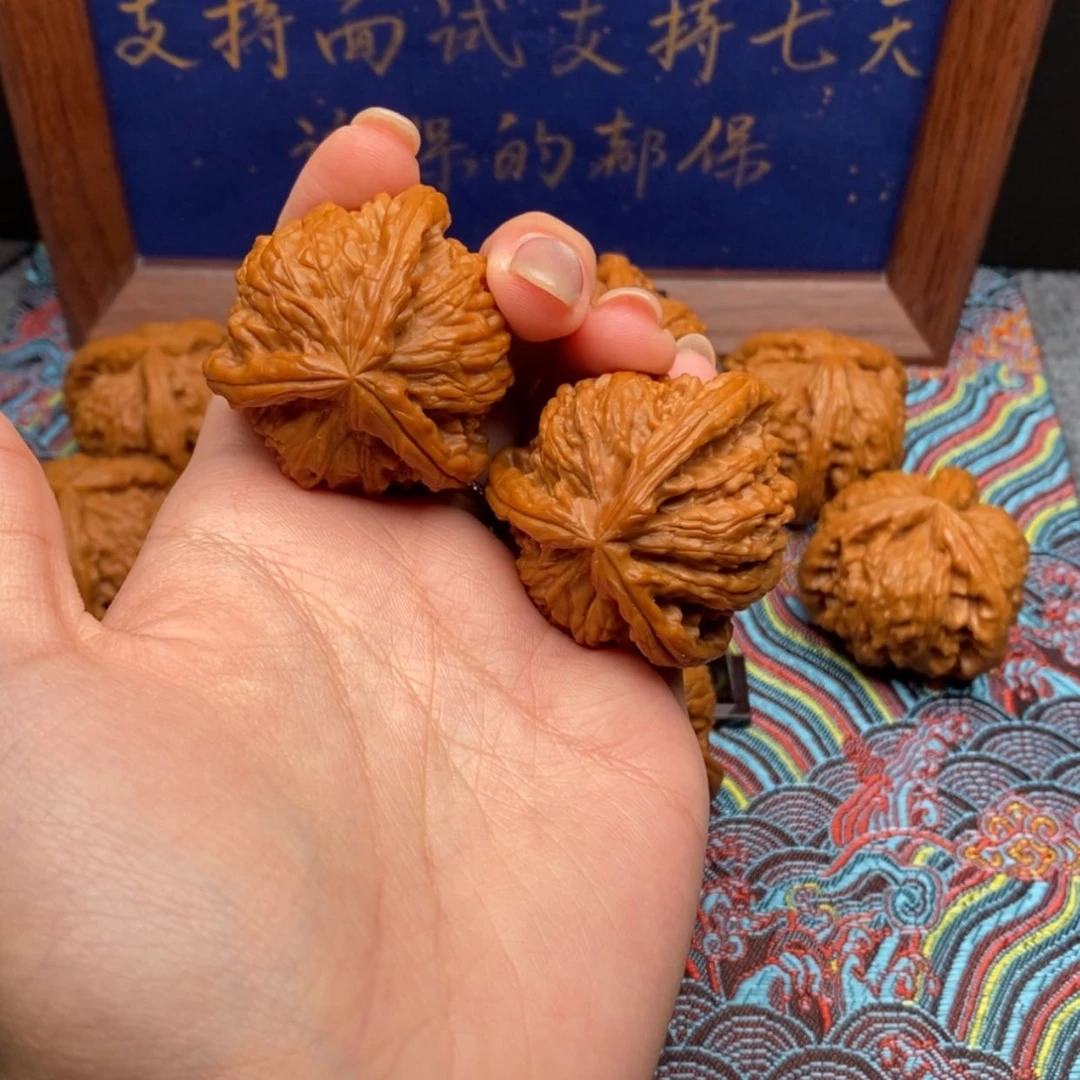 【闪购商品】噼****啦白狮