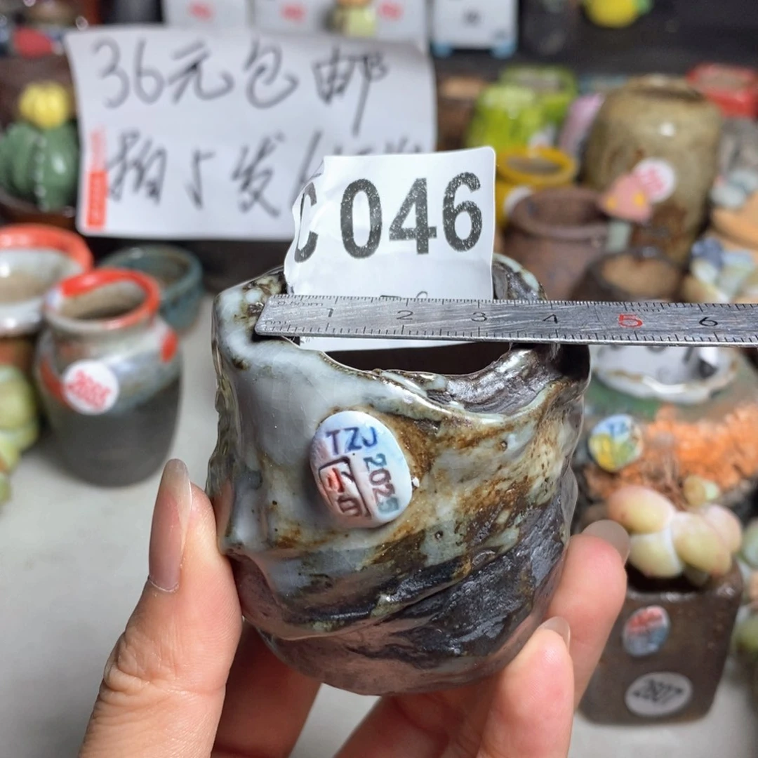 拍5送一个小礼物