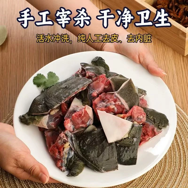 1.2斤鲜活现杀麻辣甲鱼甲鱼商用半成品冰鲜食材火锅砍块老鳖代杀