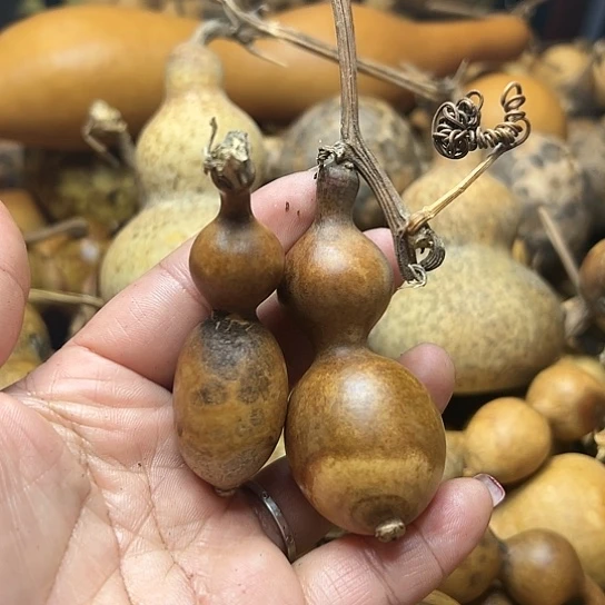 一****沾葫芦葫芦葫芦葫芦葫芦