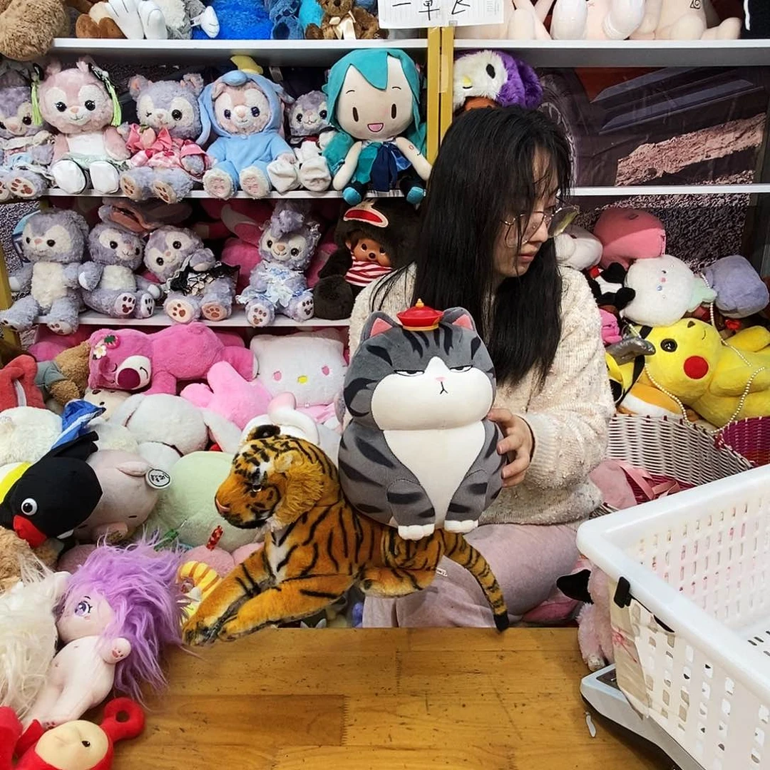 毛绒杨*毛绒玩具275