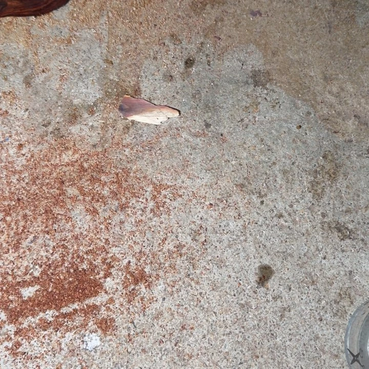 吻***真木海南，海北飞灰尘。甘受商于仪诳楚