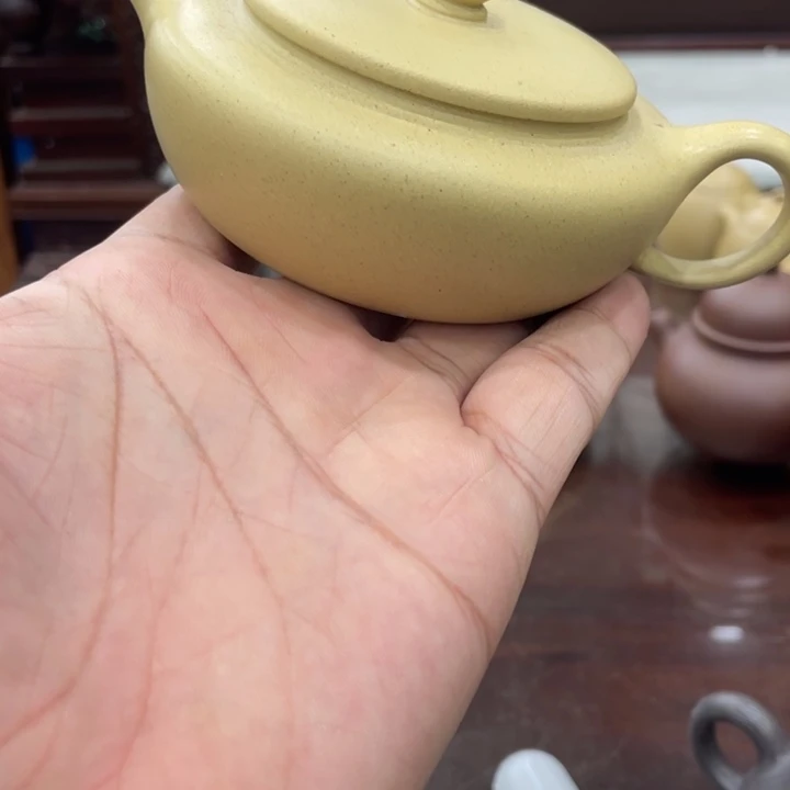茶壶紫砂哈哈哈哈哈这个综艺节目真的是太棒啦我们