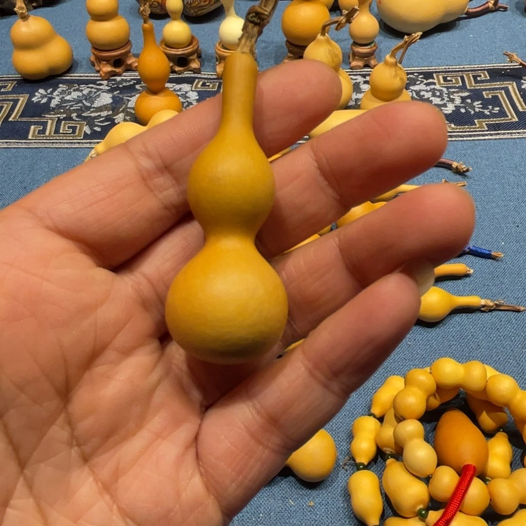 木安*葫芦等经济林木生长在