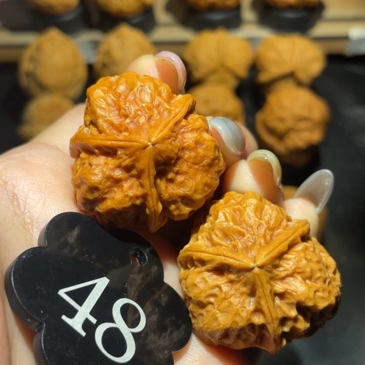 三棱33尺寸核桃。