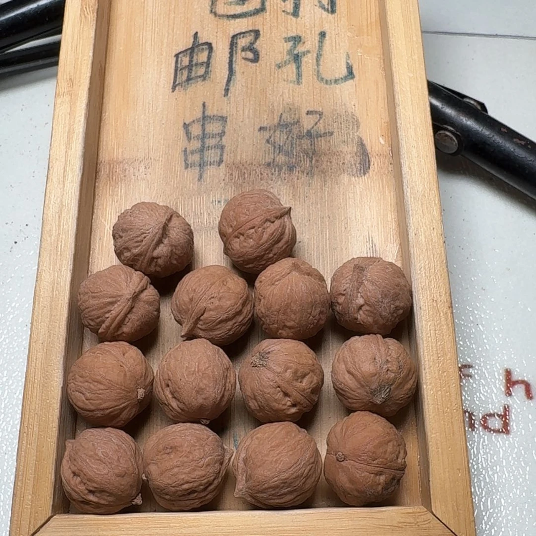 核桃手串/手链63号边20肚23高21
