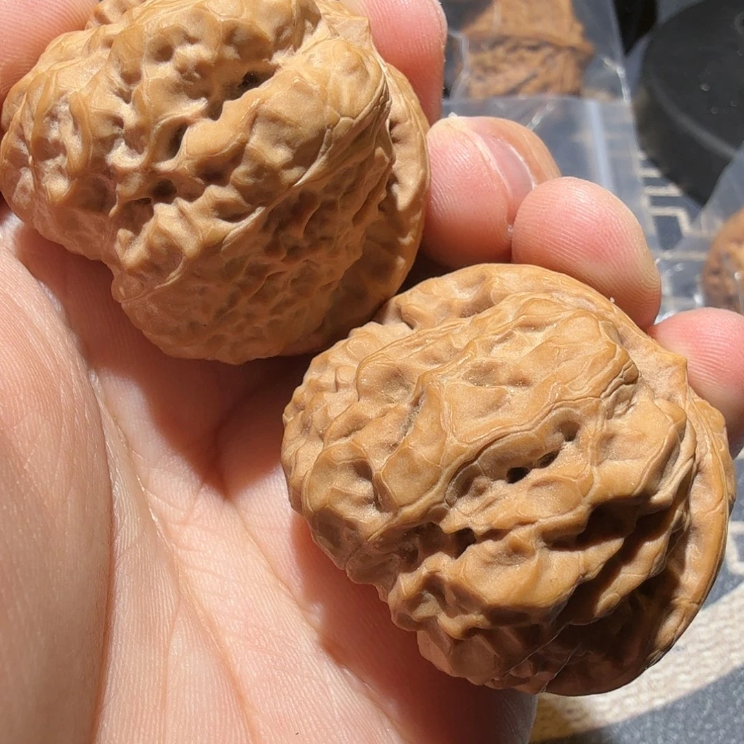 文玩核桃把件春*金蟾