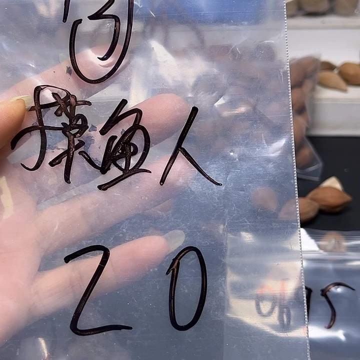 职***人手串/手链橄榄核111