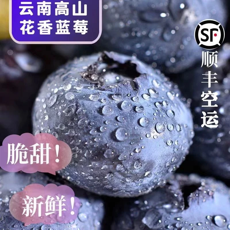 【贵发果业】花香蓝莓15-18mm+云南高山花香蓝莓 脆甜
