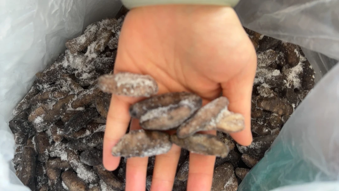 三斤口感超级好的残参