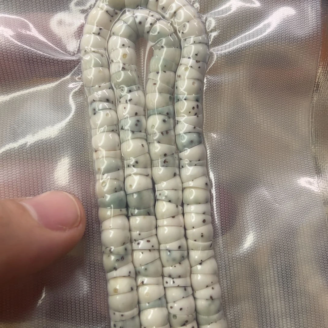 星月菩提手串67大肠数星