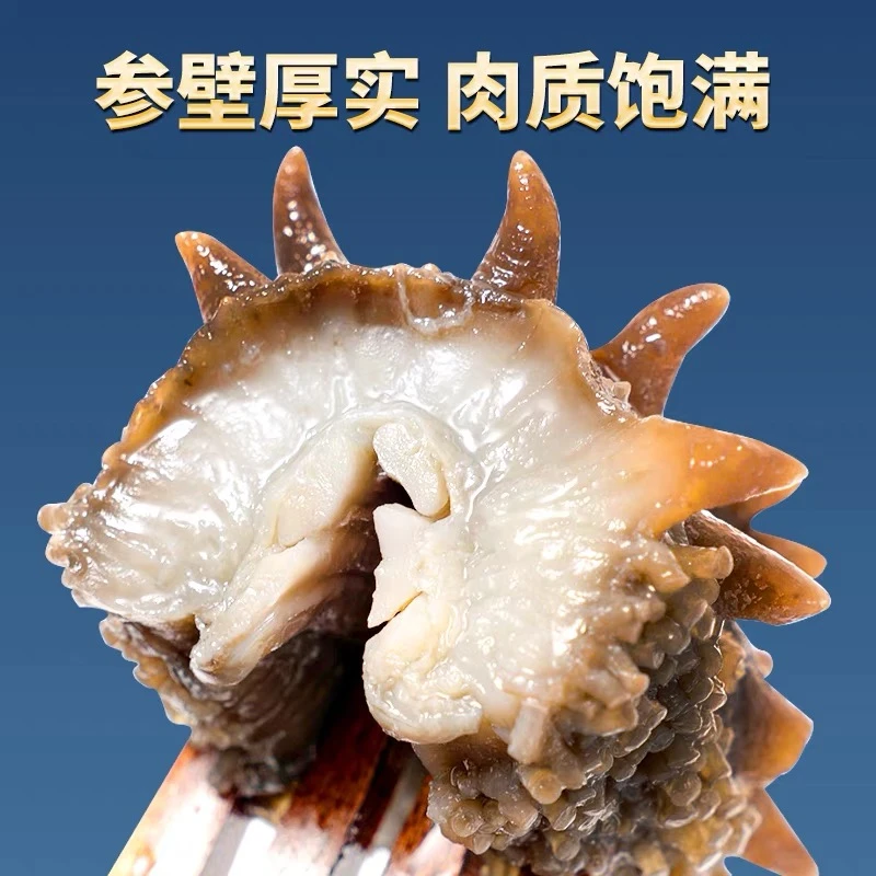 海参大连特产  大连捕捞 大连生产 大连发货 一根大海参 （试吃装）