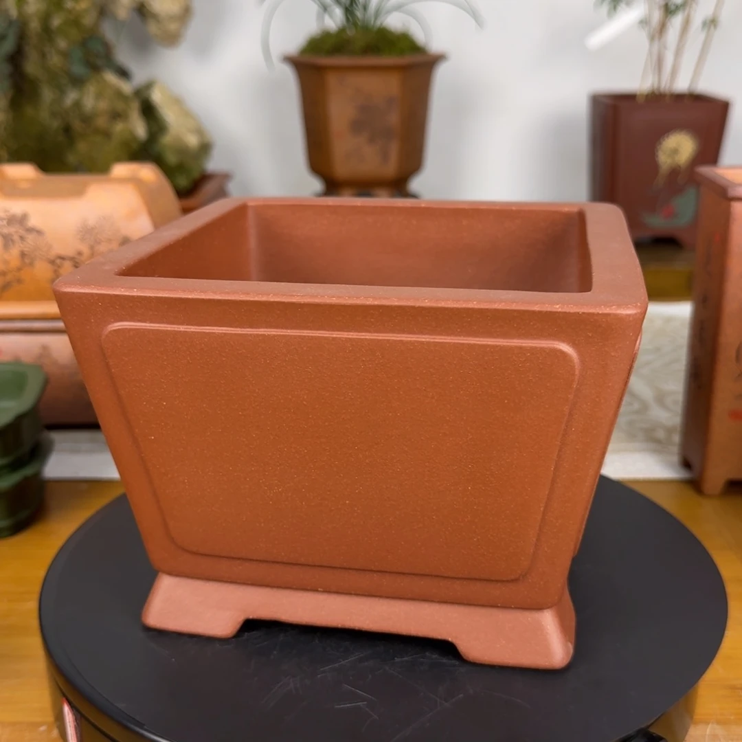 紫砂花盆绿**园紫砂花盆