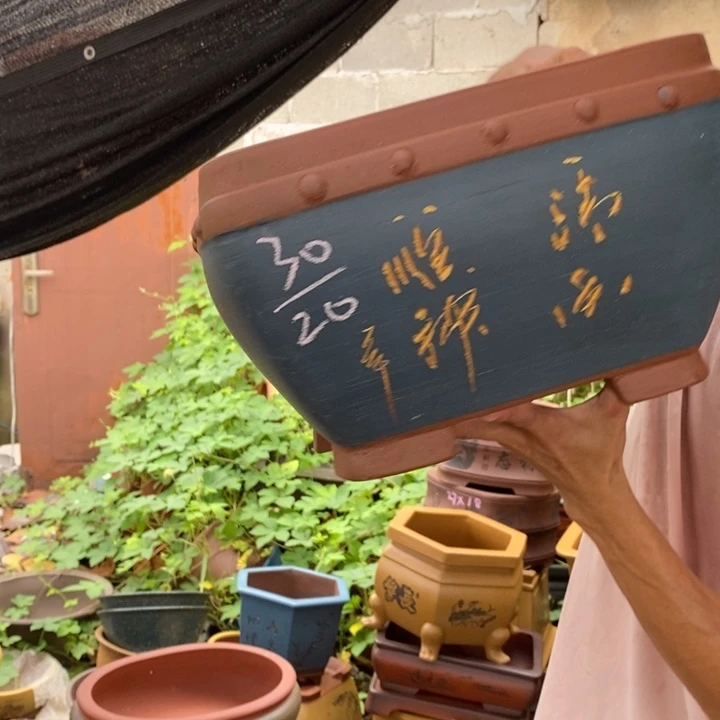 紫砂花盆没有什么不可以的事情