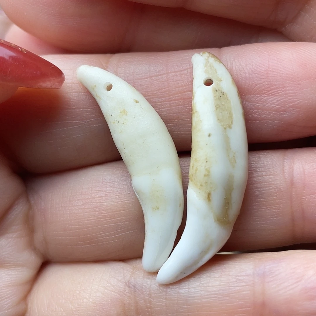 琉璃/树脂/塑料类