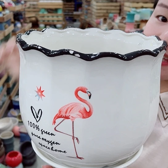 花盆凑单福利满10元发货！