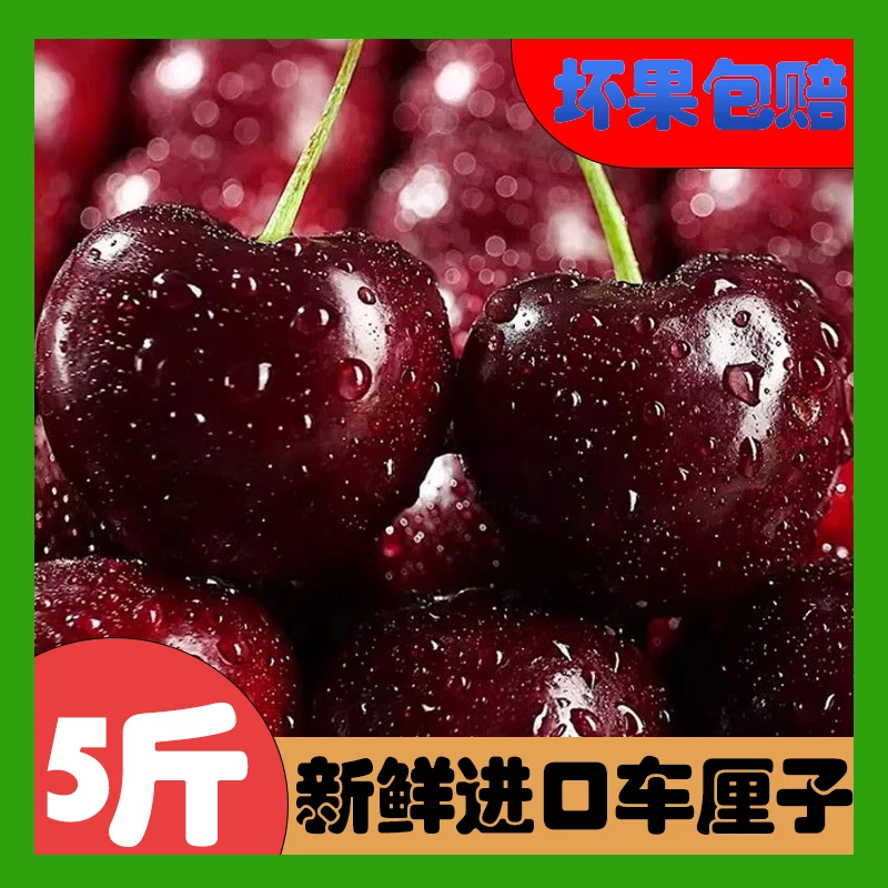 顺丰包邮新鲜进口5J-J车厘子正宗智利进口桑提娜海运（内附果径卡）