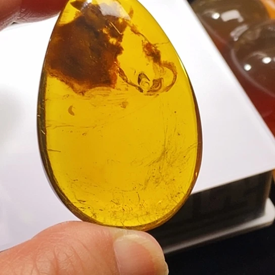 琥珀未镶嵌颈饰植物珀