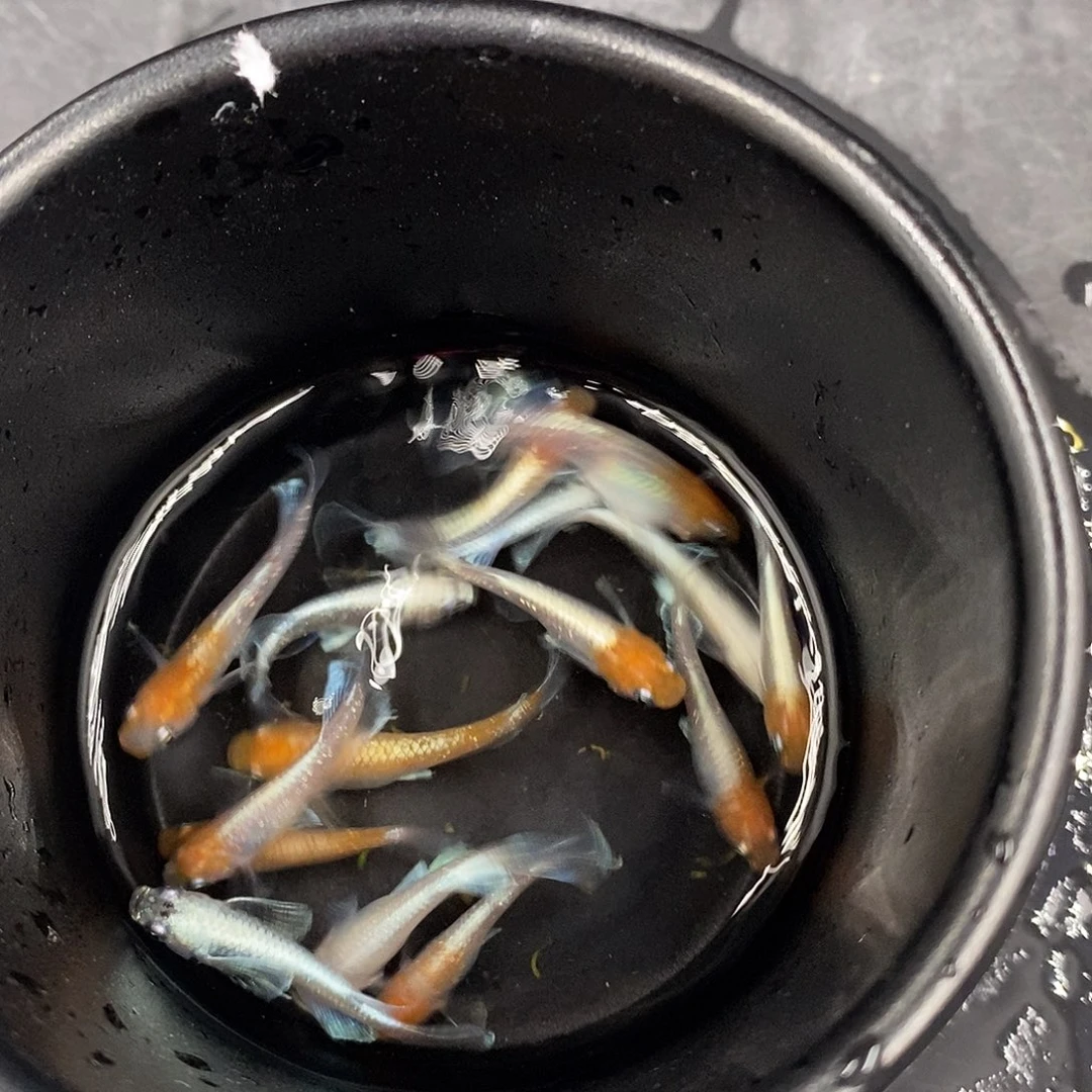 7***℃海水128766988号下雨天