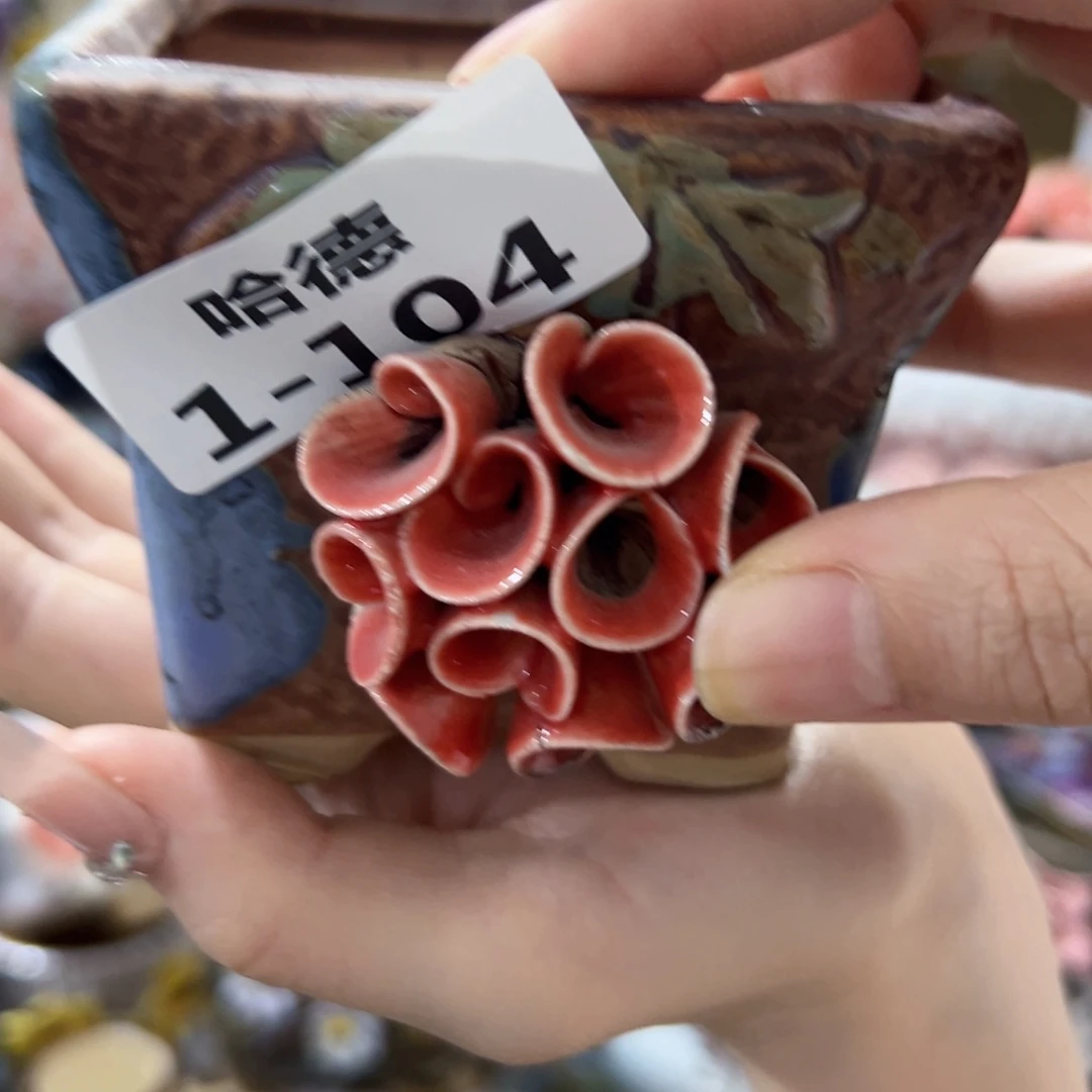 1104 拍满18.8米包邮发货