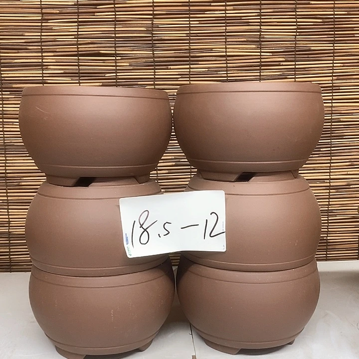 紫砂花盆我在外面