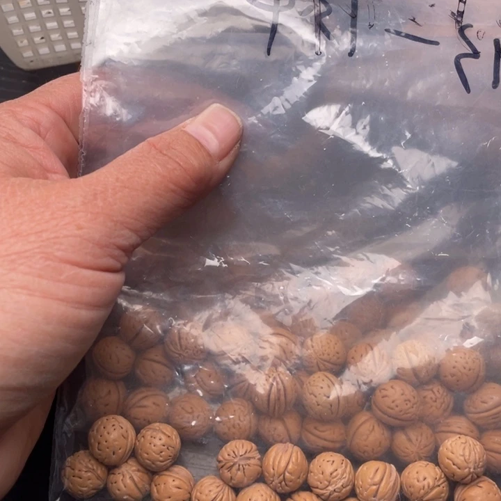 强****散籽批发小桃核30