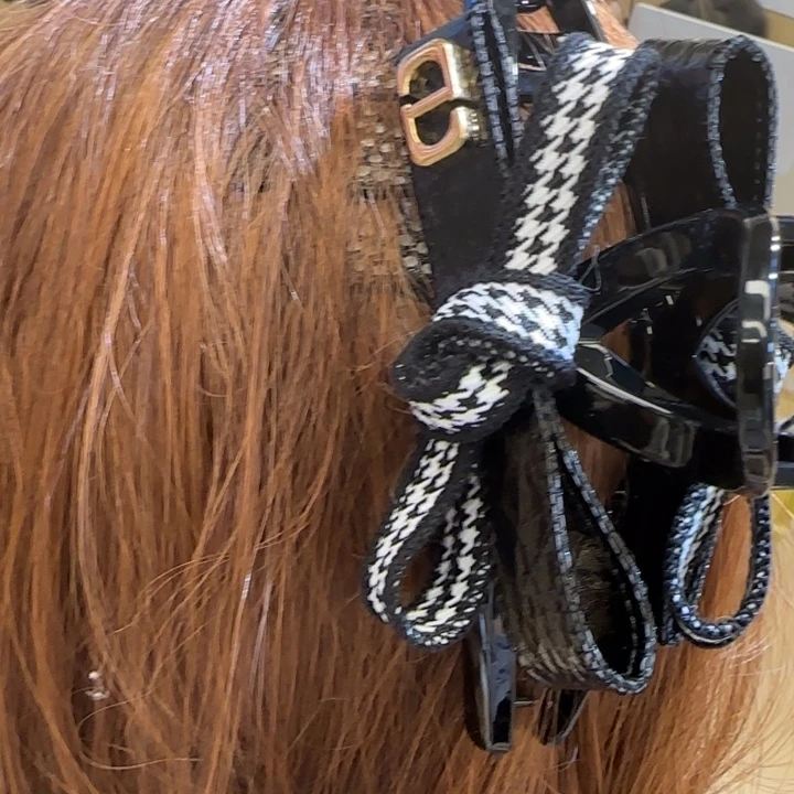 醋酸铁合金大抓夹