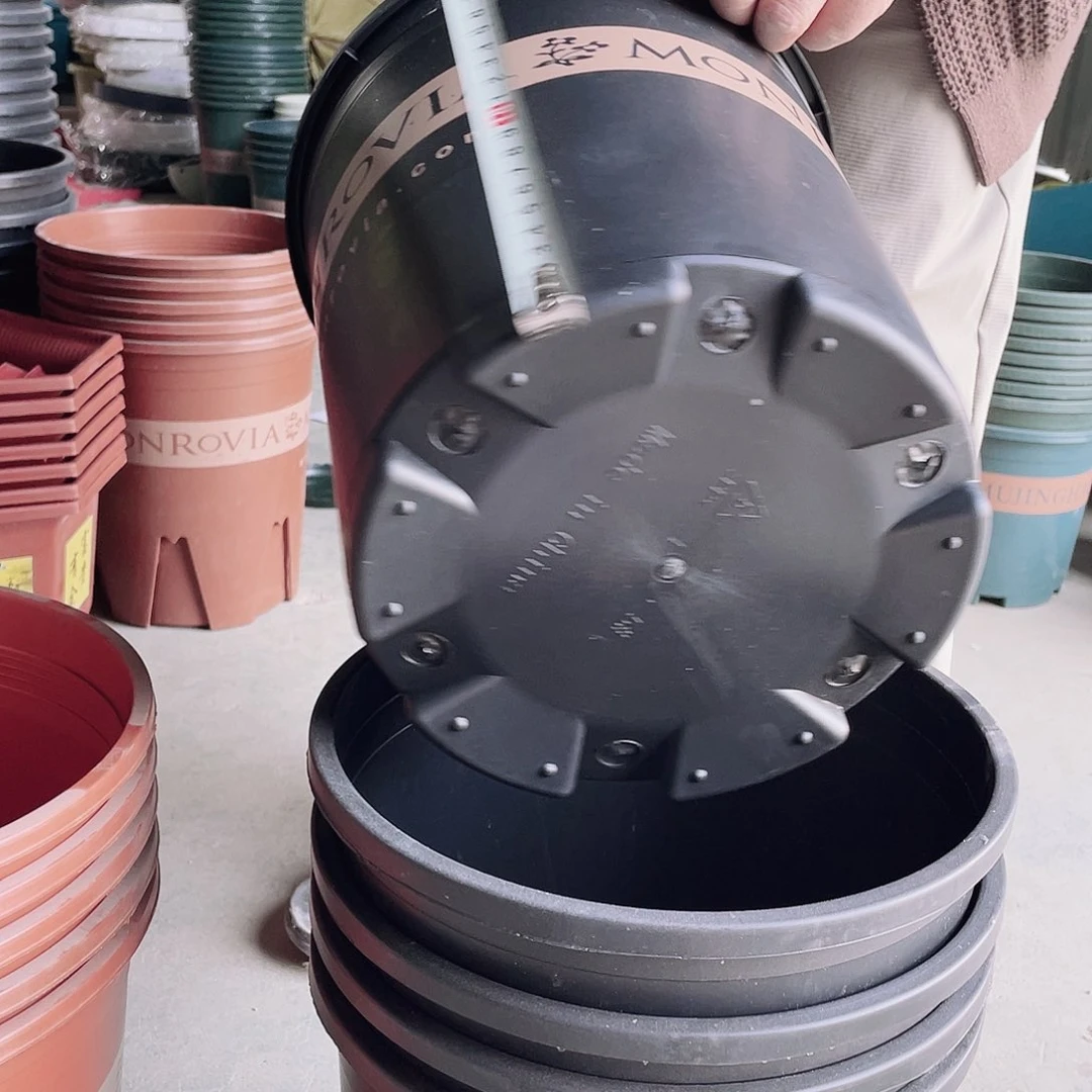 编号是4229的编号