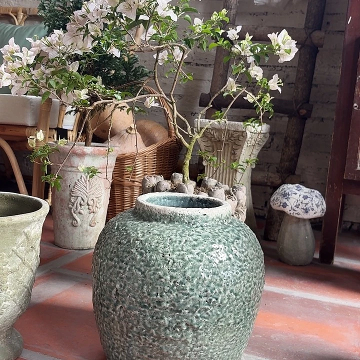 许纯的花房 绿色釉面