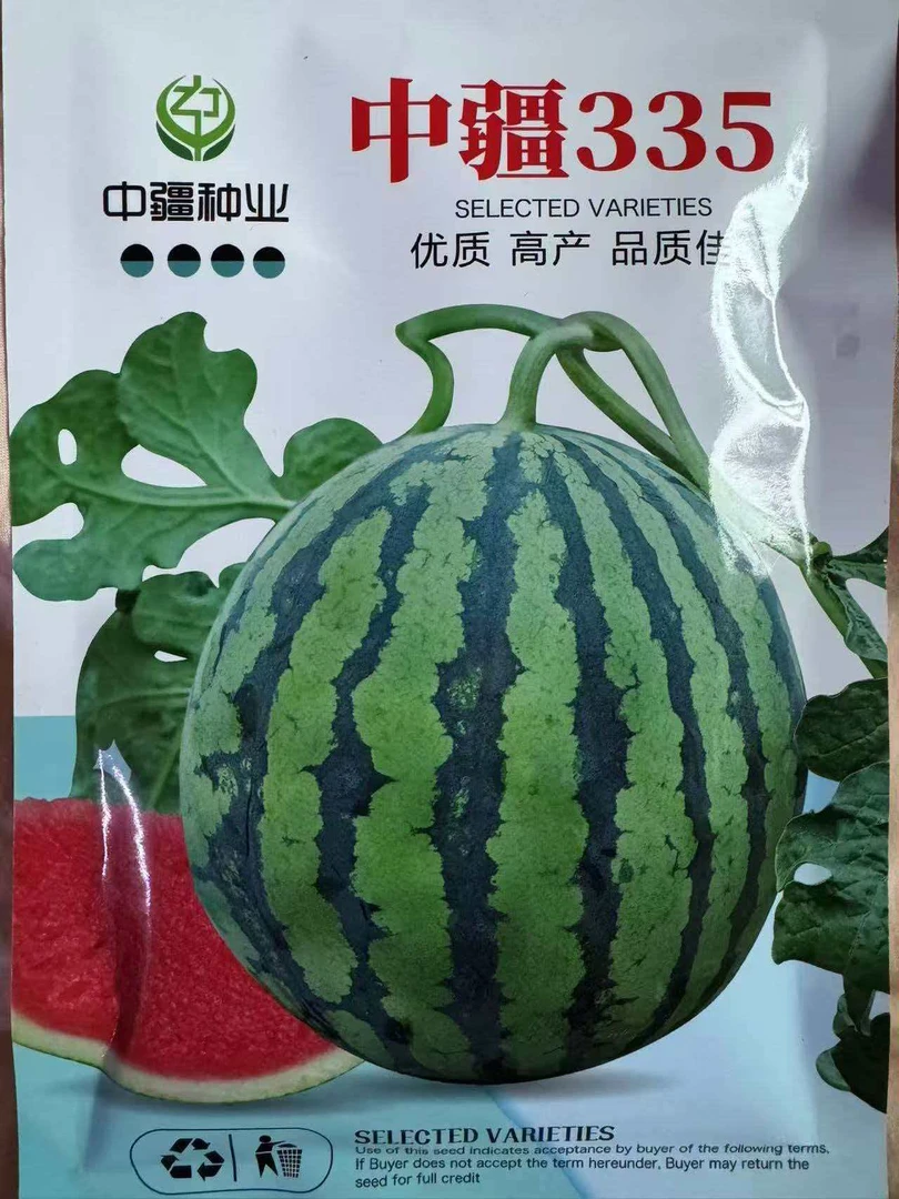 中疆335 （中疆）