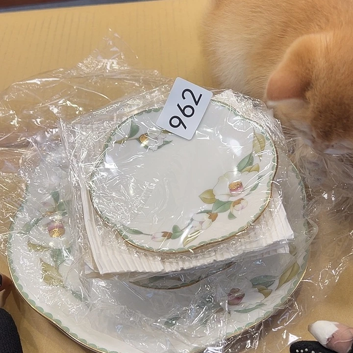 茶盏陆**哨我的小伙伴都在等着