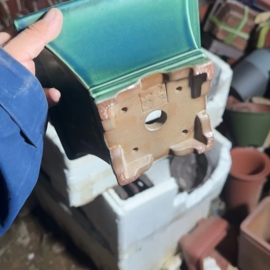 不去看书啊哈是真的想吐是因为真的是假话还是因为不