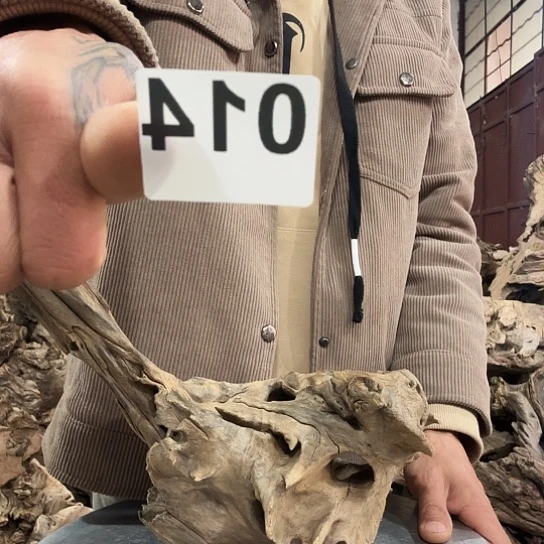 阴*方紫砂噜啦啦啦啦啦啦