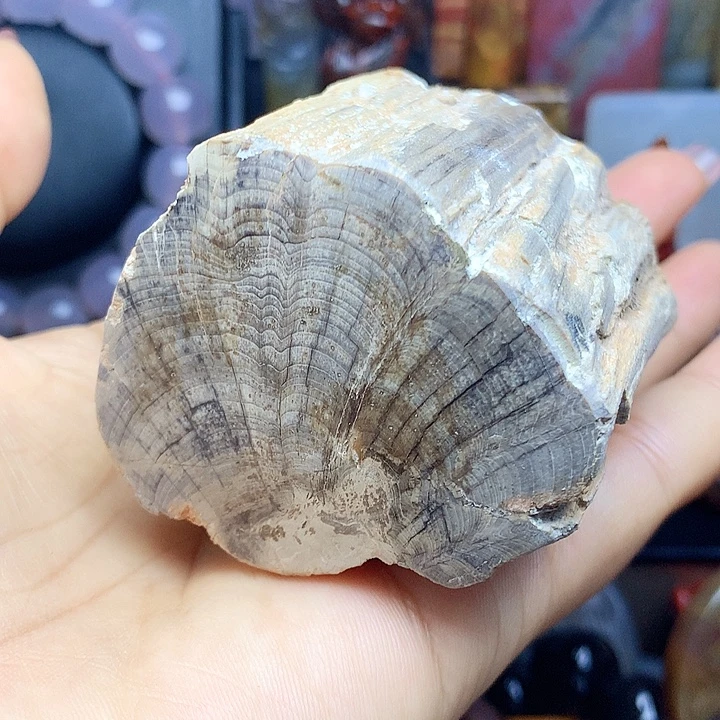 未镶嵌吊坠(不含链)硅化玉