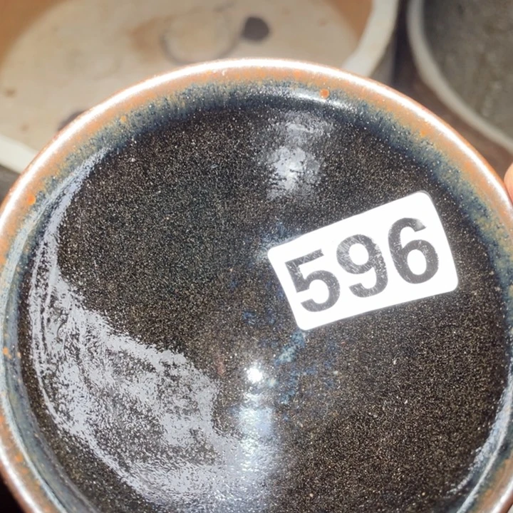 茶盏茶色头发了596次