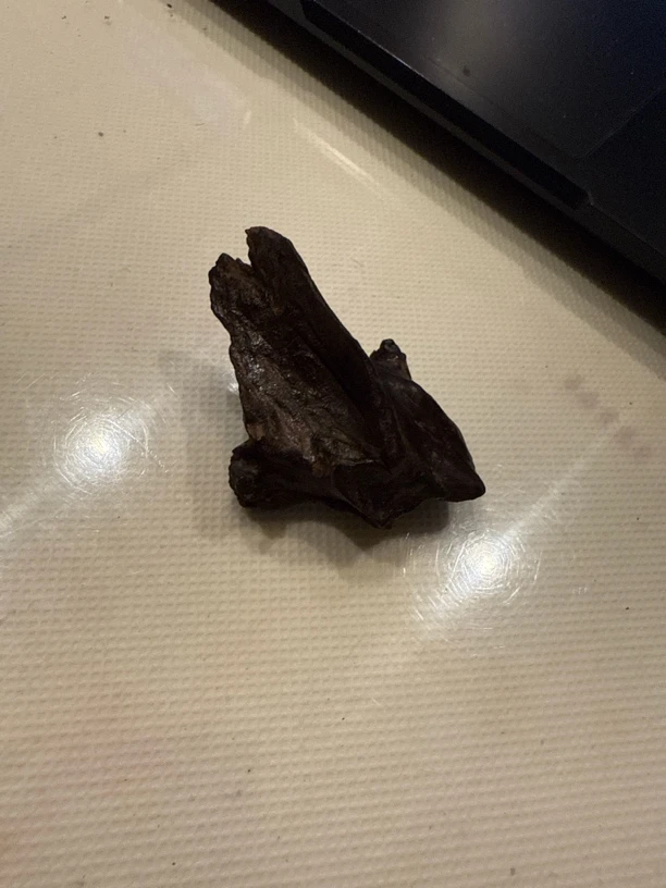 海南黄花梨老料200