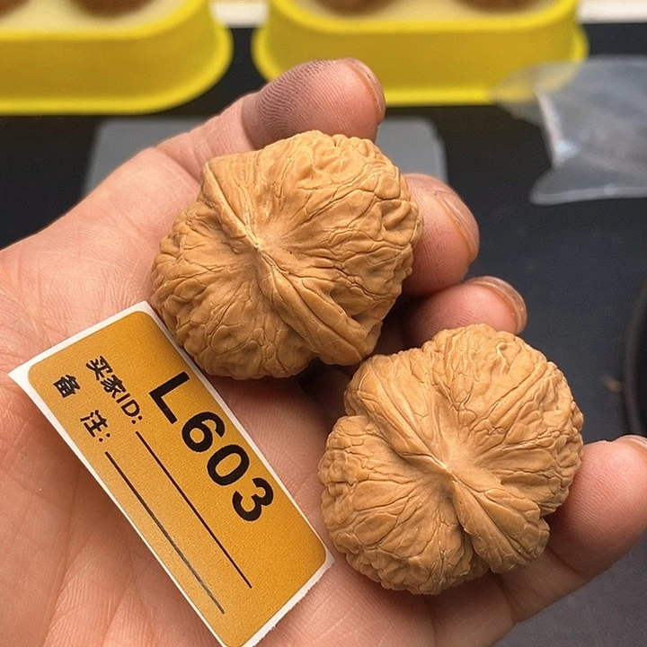 文玩核桃把件元宝3.8