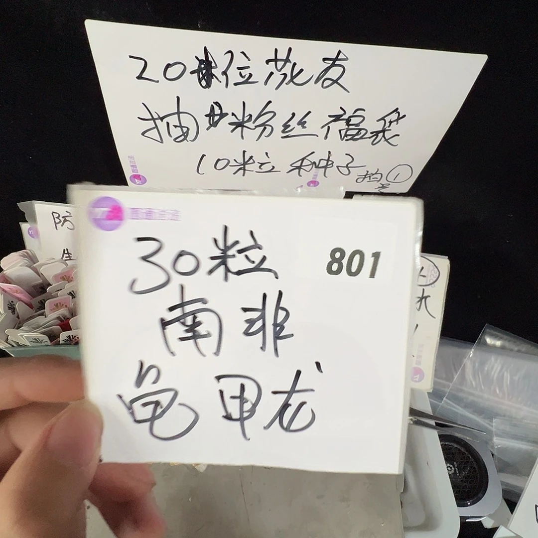 多肉植物专拍植物不退换 一物一拍 801