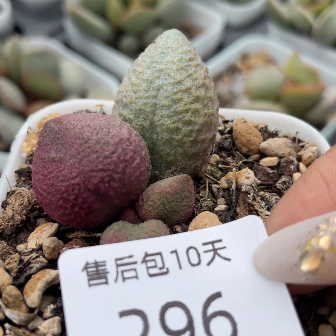 福利。  福利。