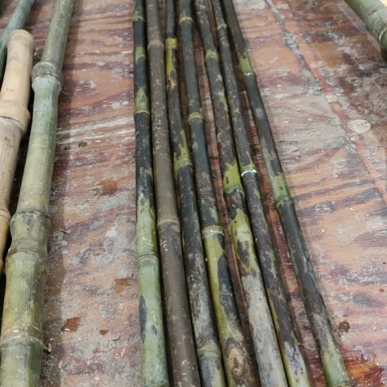 看***出实心玉竹手把件金条料