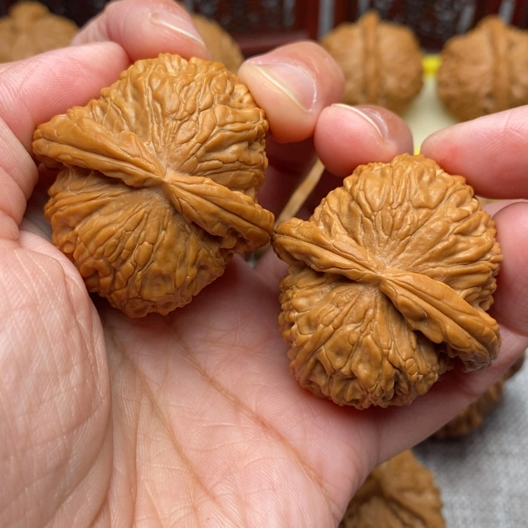 文玩核桃把件全品毕业白狮子40尺