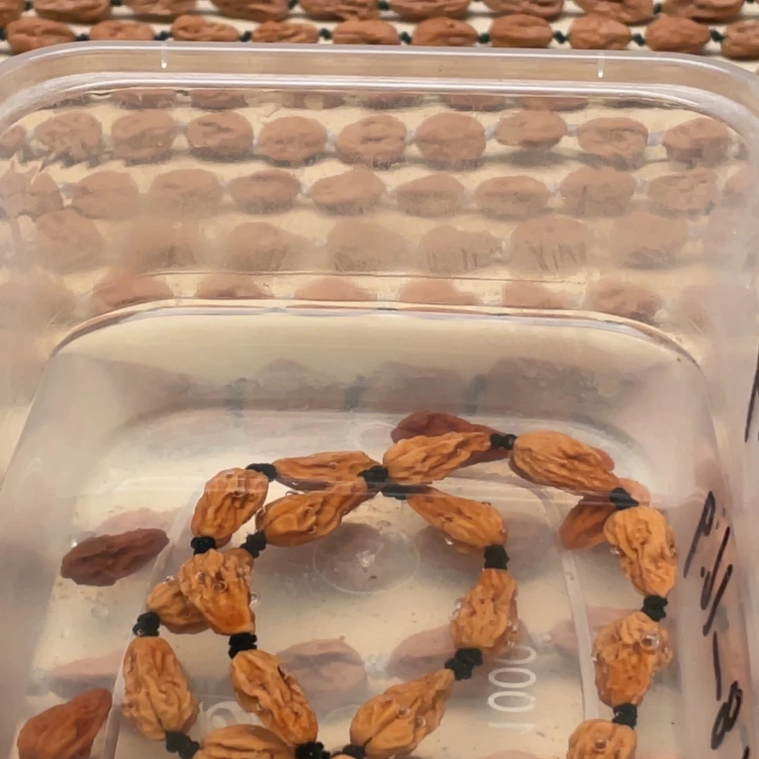 Ö***椰吊坠桃核蛤蟆异形