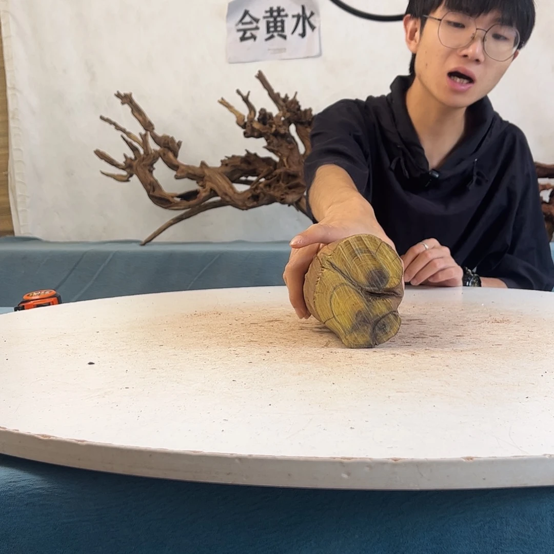 沉木造景寄居蟹造景