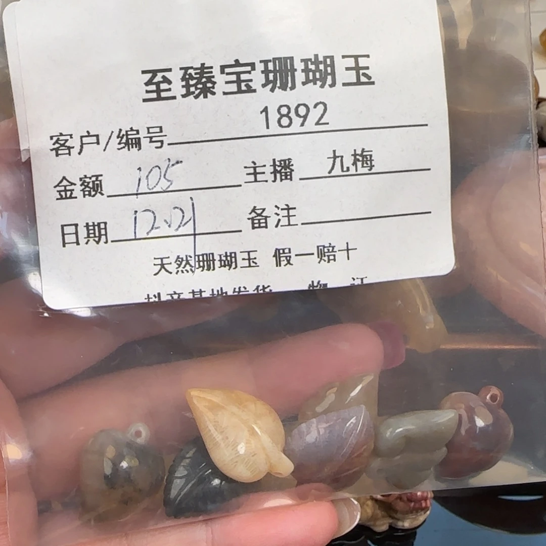 忆***/硅化珊瑚（珊瑚玉）未镶嵌颈饰