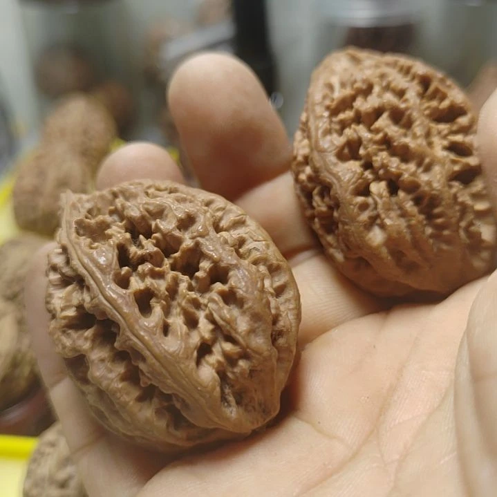 文玩核桃把件步**停蚂蚁窝