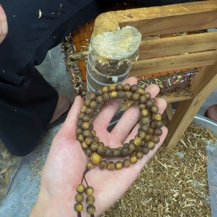 沉香沉香碎屑张勺子24克