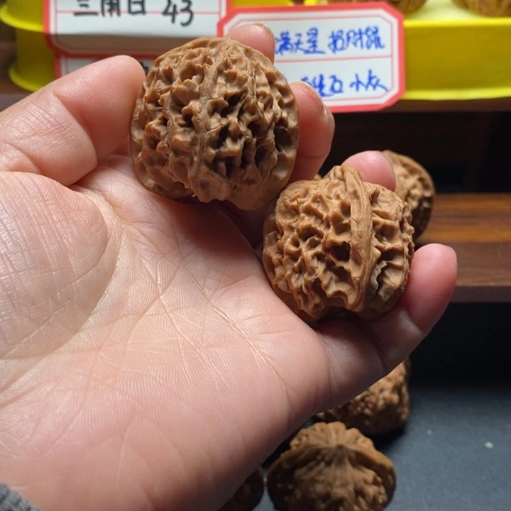 杨***师全品无修苹果园40